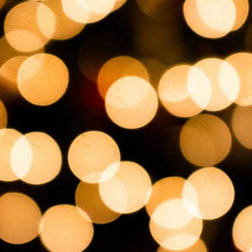 The Everly Spotlight - Audio + Video · Remote Production